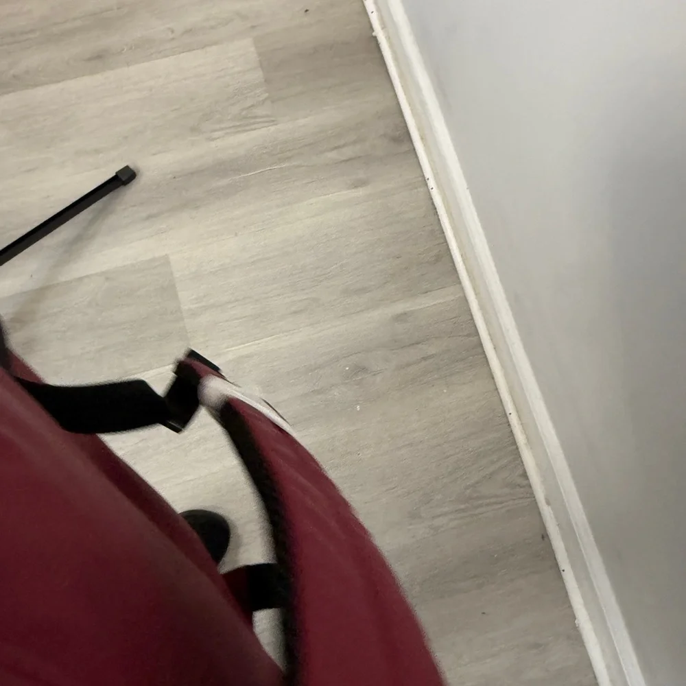 NWOT Rebecca Minkoff Burgundy Backpack‎